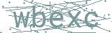 Fehler beim Laden des Captchas